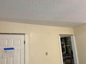 painting contractor St Paul before and after photo 1773082082869_5